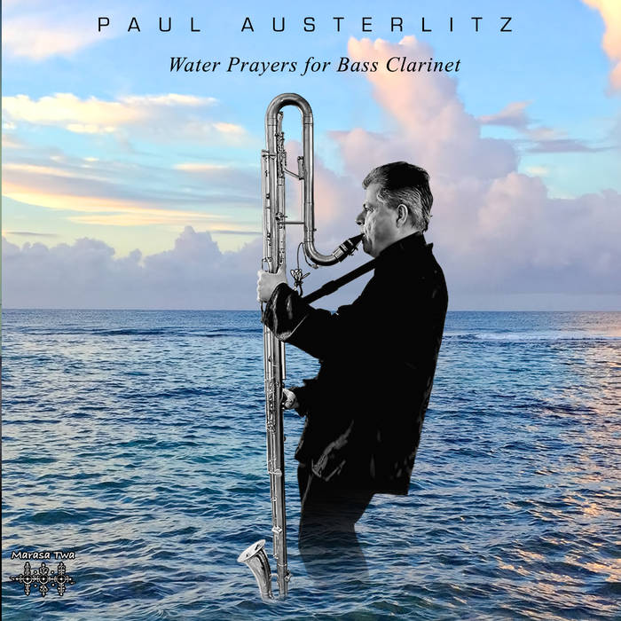 Image result for Paul Austerlitz